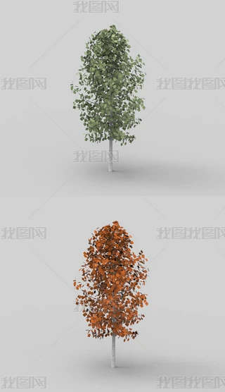 Ϭţ3Dģ
