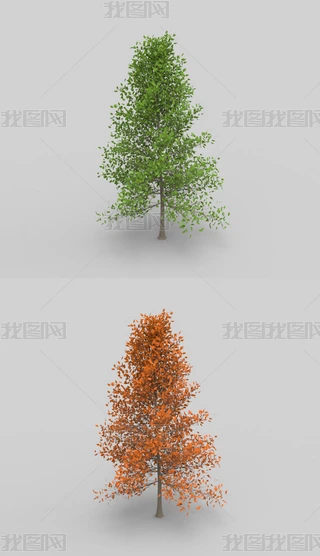 ɽϬţ3Dģ