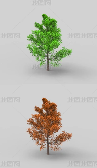 SϬţ3Dģ