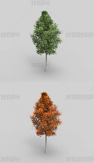 Ϭţ3Dģ