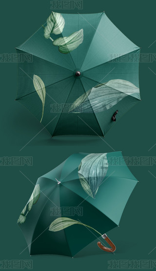 īGɫֲ(yng)̫(yng)㶨