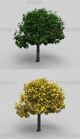 ľϬţ3Dģ