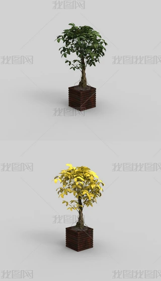 辰ֲϬţ3Dģ