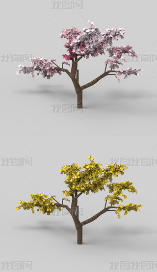 ҘϬţ3Dģ