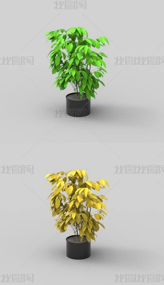 辰ֲϬţ3Dģ