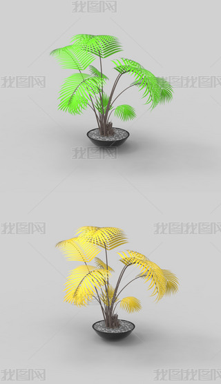 辰ֲϬţ3Dģ