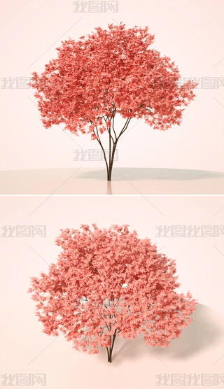 ɫֲˇg(sh)ľC4Dģͺ|(zh)OCȾ2