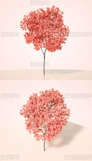 ɫֲˇg(sh)ľC4Dģͺ|(zh)OCȾ3