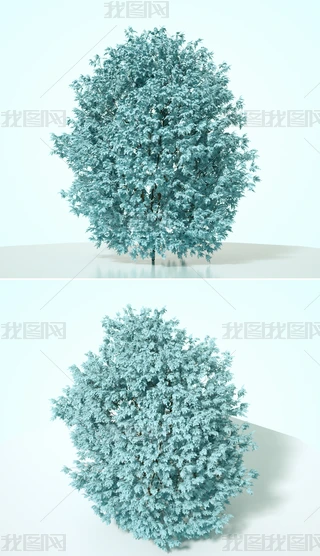 {(ln)ɫֲˇg(sh)ľC4Dģͺ|(zh)OCȾ5