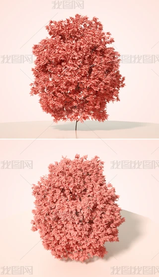 ɫֲˇg(sh)ľC4Dģͺ|(zh)OCȾ4