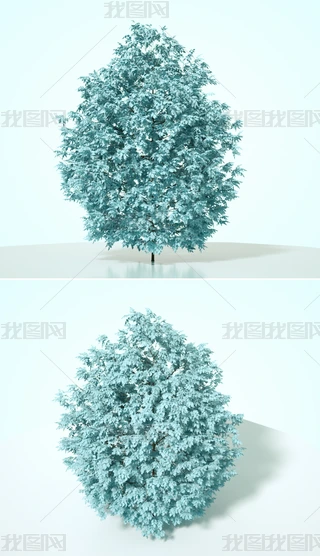 {(ln)ɫֲˇg(sh)ľC4Dģͺ|(zh)OCȾ6