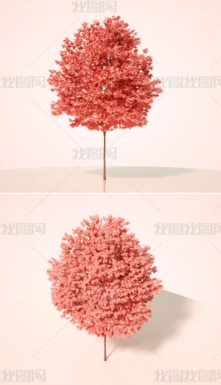 ɫֲˇg(sh)ľC4Dģͺ|(zh)OCȾ8