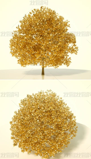 ɫֲˇg(sh)ľC4Dģͺ|(zh)OCȾ10