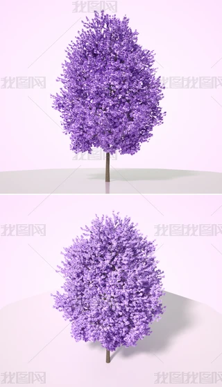 ɫֲˇg(sh)ľC4Dģͺ|(zh)OCȾ16