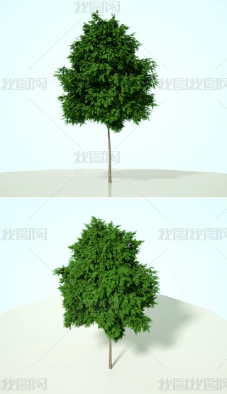 Gɫֲˇg(sh)ľC4Dģͺ|(zh)OCȾ15