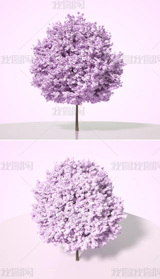 ɫֲˇg(sh)ľC4Dģͺ|(zh)OCȾ17