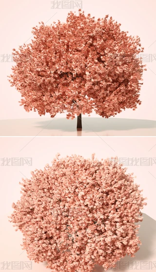 ɫֲˇg(sh)ľC4Dģͺ|(zh)OCȾ18