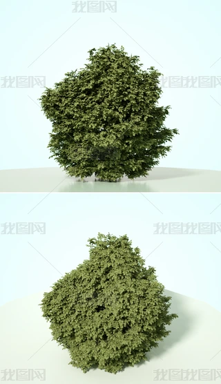 ֲˇg(sh)ľC4Dģͺ|(zh)OCȾ19