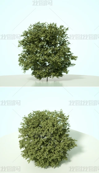 ֲˇg(sh)ľC4Dģͺ|(zh)OCȾ20