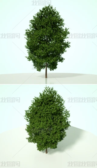 Gɫֲˇg(sh)ľC4Dģͺ|(zh)OCȾ22