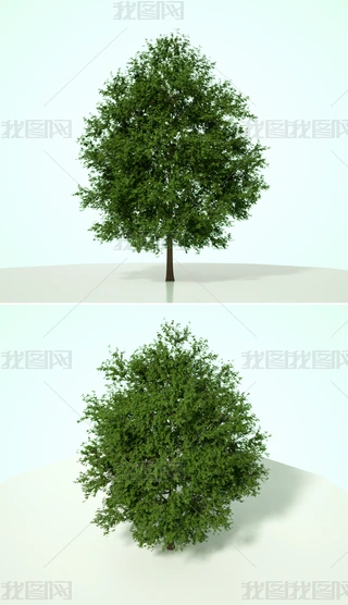 Gɫֲˇg(sh)ľC4Dģͺ|(zh)OCȾ23