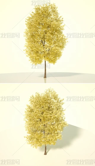 ɫֲˇg(sh)ľC4Dģͺ|(zh)OCȾ25