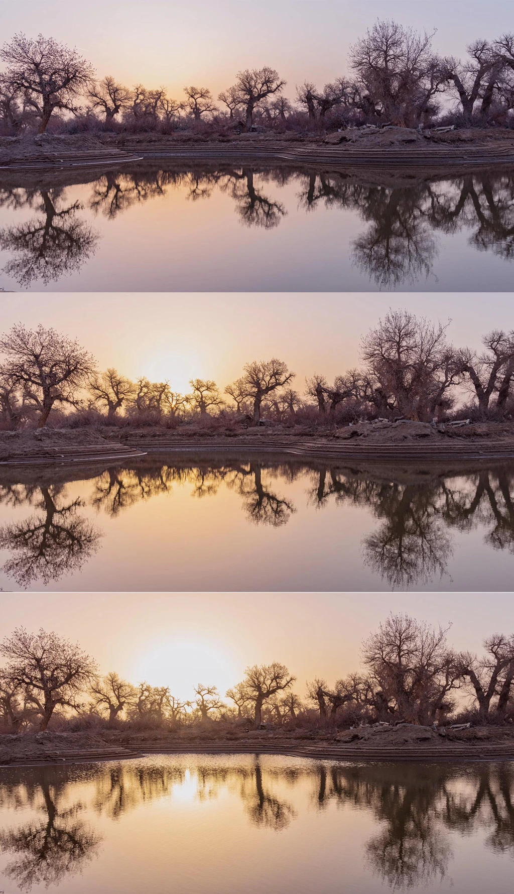(sh)ĺҕlز