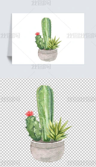 Lˮʶֲ
