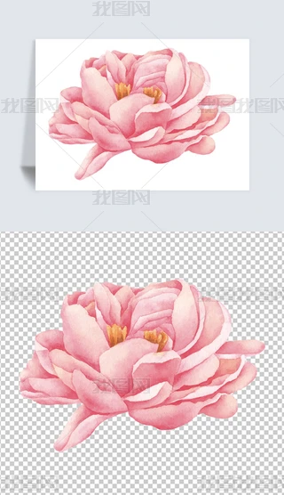 Lˮʷɫĵ