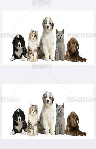 ؈