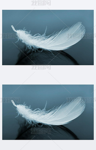 ë