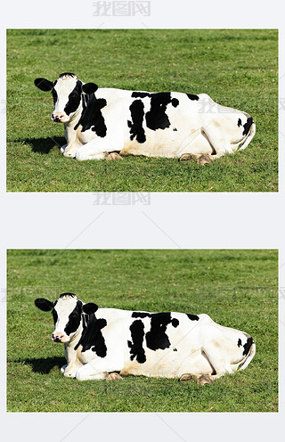 ĺڈͰţ