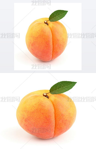 c~
