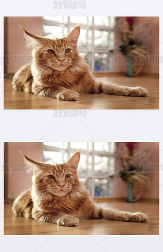 ؈ڵذ
