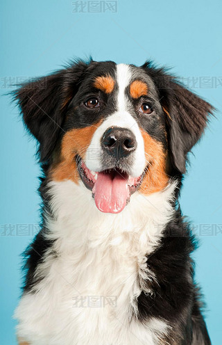 berner ɭ۹^ڵ{(ln)ɫĔzС.