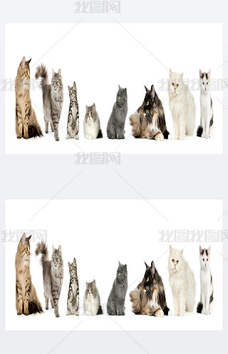 ؈?jin)нM: Ų Ͳ˹؈?jin)ڰɫǰ?>
                                                                    </a>
                                <div   id=