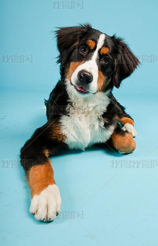 berner ɭ۹^ڵ{(ln)ɫĔzС.