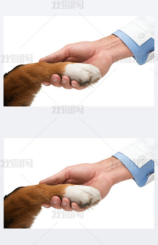 ֮gxĸ