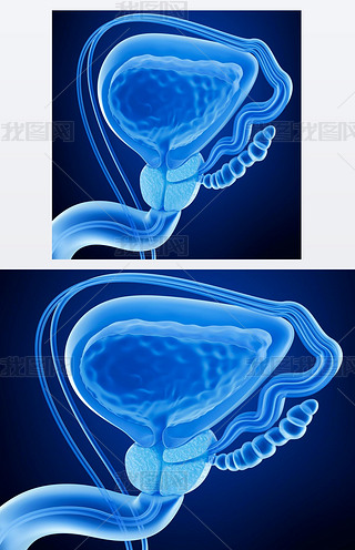 ǰֳٰϵy(tng)x 侀ҕD 3d Ⱦ