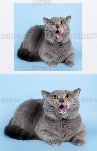 Ӣ؈^{ɫ