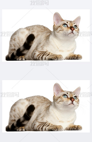 ϼ؈6 ´˵ǰڰɫı