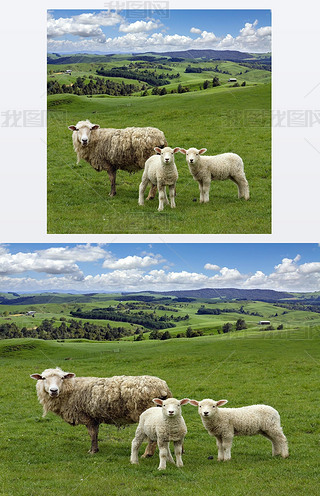 d͸C(du)ɽˮ backgrou