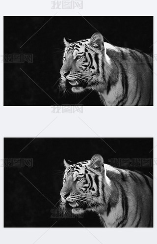 |Ф