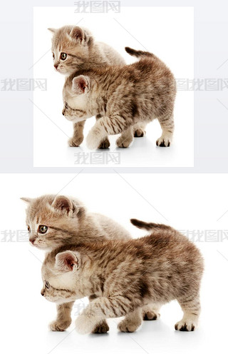 Сɐ۵С؈