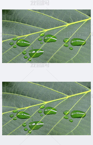ҾGɫ~ϵĄ_ӡ