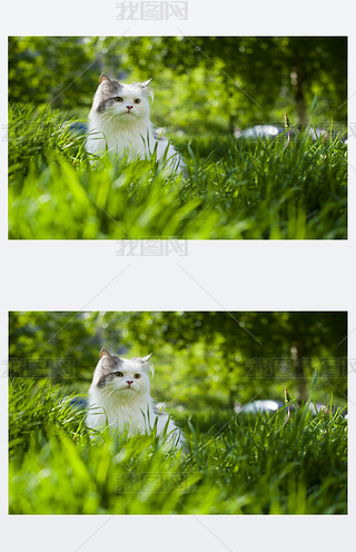 ؈