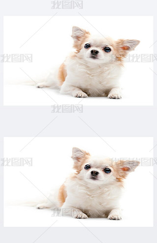 ë׵İɫctɫļ޹