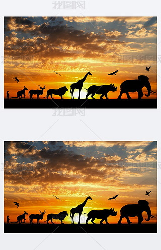 䱳ϵĄļӰ
