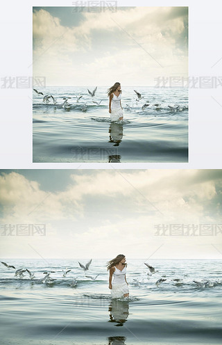 Ů˺seagulsɳ