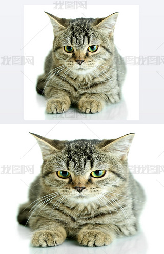 ɫx؈